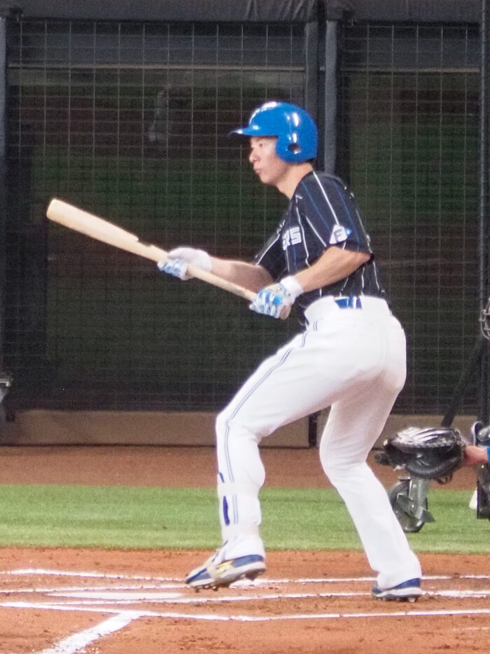CC BY-SA 3.0 / 山村みきお (source: Own work)